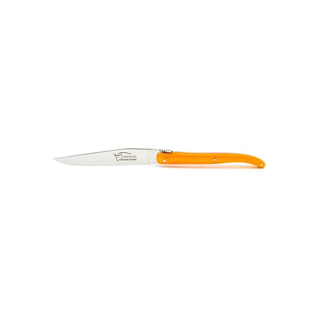 Laguiole Steak Knives, Fluo Acrylic - Zouf.biz